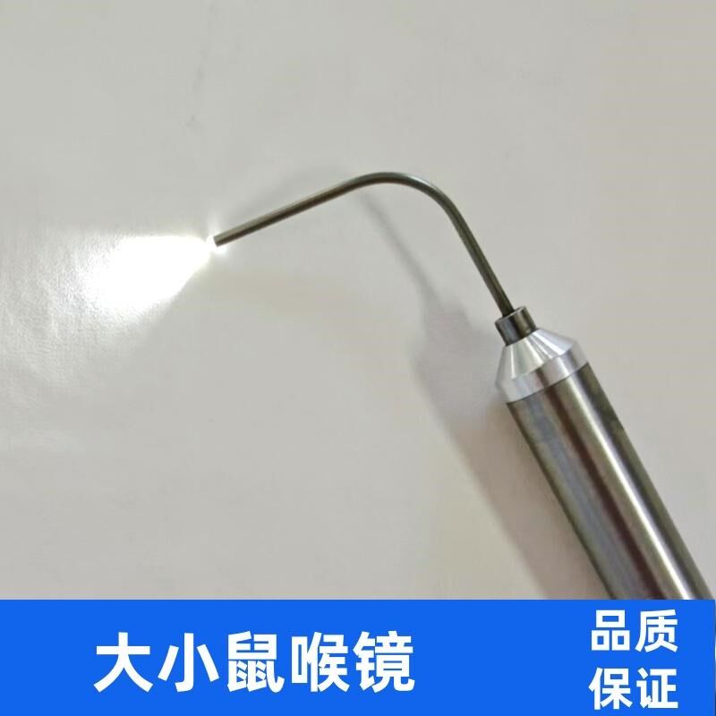 小鼠喉镜小动物麻醉咽喉镜给药操作大小鼠用气管插管光纤管喉镜