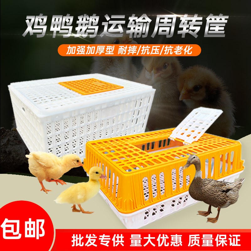 养殖场家用塑料运输笼鸡筐鸡用周转箱成鸡鸭鹅鸽子兔养殖笼塑料筐