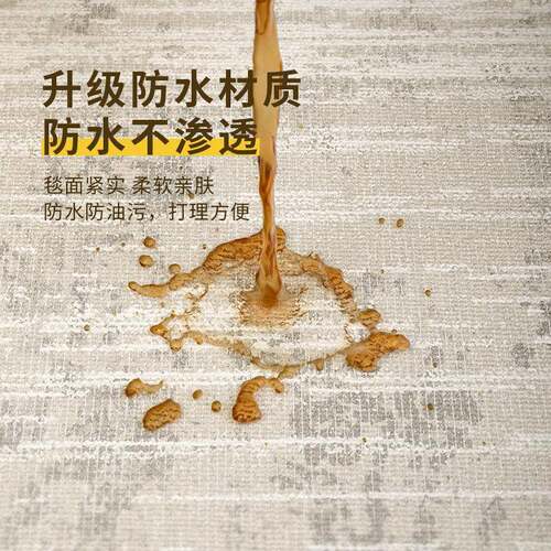 地毯客厅床卧可室202理5新款防水边免洗GOV擦免打家用沙发房间地