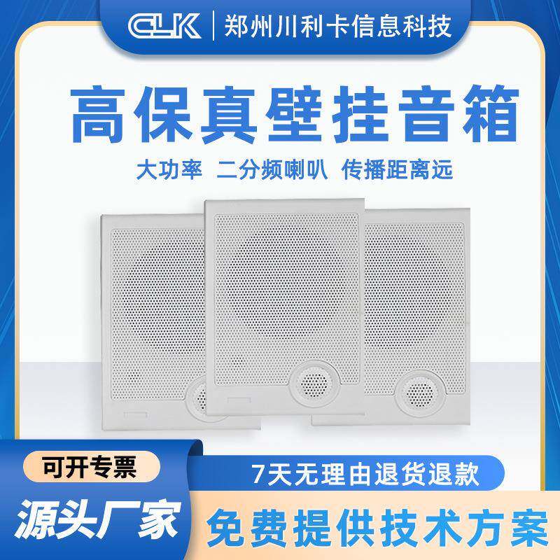 公共广播走廊音箱商场超市学校大音量壁挂音箱喇叭扬声器室内音响
