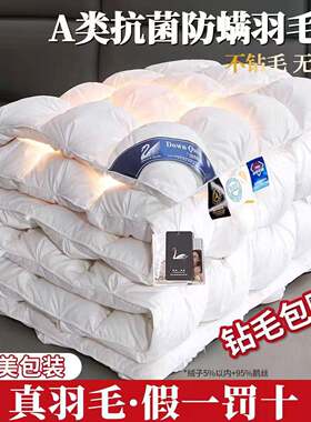 全棉扭花款非羽绒被白鹅绒加厚保暖羽毛冬被芯春秋被酒店宾馆被子