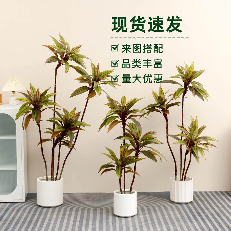 仿真绿植造景朱蕉盆栽室内客厅沙发装饰高端轻奢仿真植物盆景假树,鲜花速递/花卉仿真/绿植园艺,仿真绿植,淘宝优惠券,粉丝福利购,淘宝优惠卷