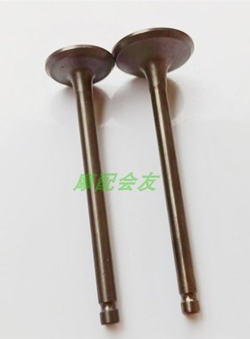 适用新优悦K44优酷雅志K48弯刀睿御WH110T-2A-2E-2D-3-5-6气门杆