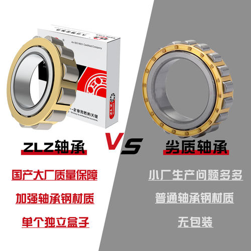 瑞典圆柱滚子轴承RN307 308 309 310 312 328EM