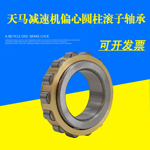 天马圆柱滚子轴承减速机偏心轴承RN205 206 307 309 312 219 228M