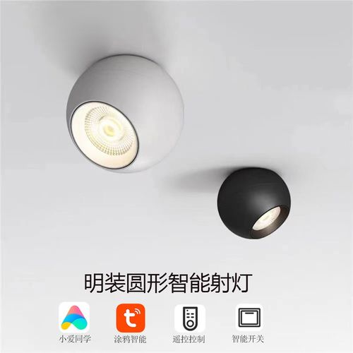 明装射灯可调角度客厅吸顶筒灯家用过道照明圆形智能调光轨道射灯