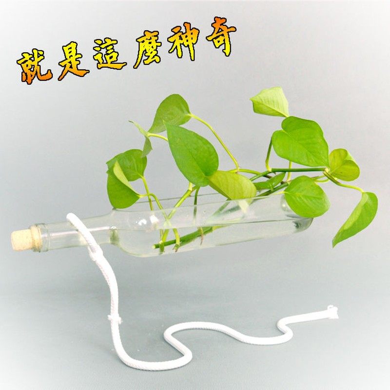 悬浮创意盆景造景客厅电视柜桌面上办公室家居饰品装饰瓶摆件客厅,家居饰品,装饰摆件,淘宝优惠券,粉丝福利购,淘宝优惠卷