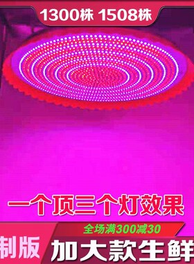 市霸冷鲜肉专用水果lned生鲜灯猪肉超亮熟食肉摊海鲜加大款1300珠