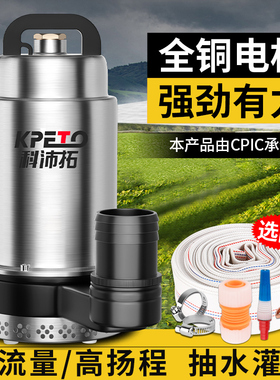 直流潜水泵家用小型12v24vv48v60v72v电瓶电动车农用灌溉抽水机