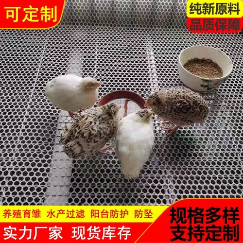 塑料平网养殖网漏粪网床鸡鸭鹅围栏网脚垫网格片养蜂防护网育雏网