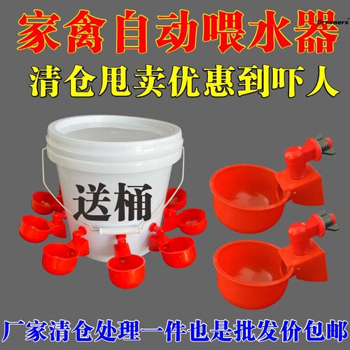 鸡鸭鹅全自动喂食器喂料桶鸡自动下料器家禽用料水槽食槽喂食厂家