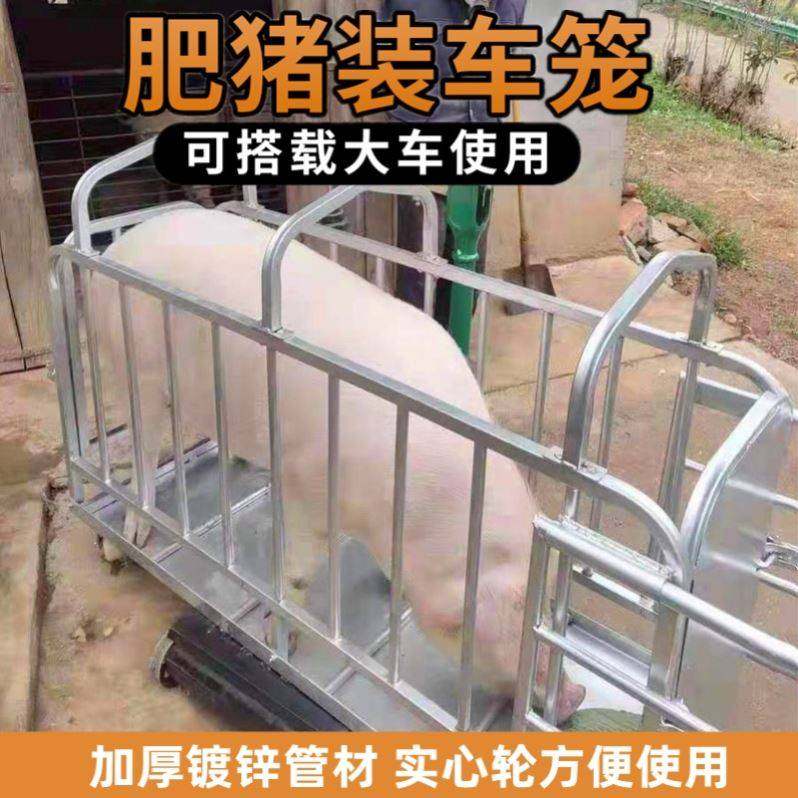 猪笼子猪场用卖猪笼装猪笼称猪笼小猪转运车肥母猪上车.神器抓猪