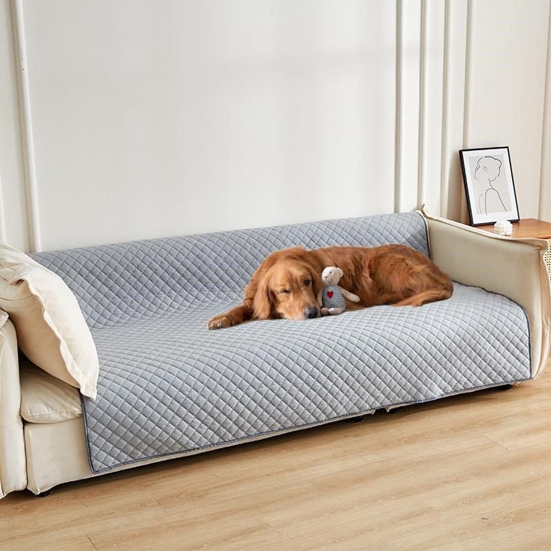 防水宠物隔尿垫沙发床垫宠物包笼垫猫狗床训练可水洗重复用狗尿垫,宠物/宠物食品及用品,猫狗垫子,淘宝优惠券,粉丝福利购,淘宝优惠卷