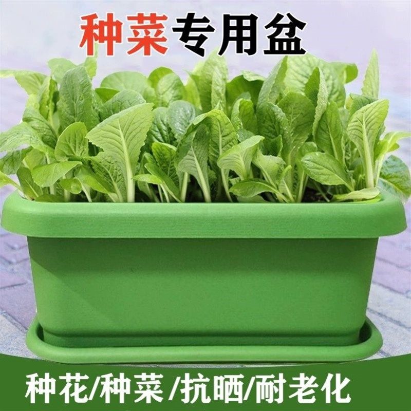 种菜专用箱泡沫阳台种菜盆长方形塑料花盆家庭蔬菜种植盆种菜神器,家居饰品,花盆,淘宝优惠券,粉丝福利购,淘宝优惠卷