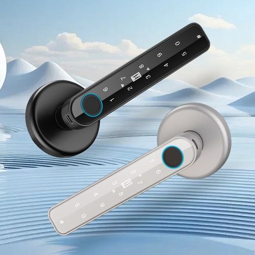 室内木门指纹锁办公室密码门锁家用卧室房间门把手分体球形指纹锁