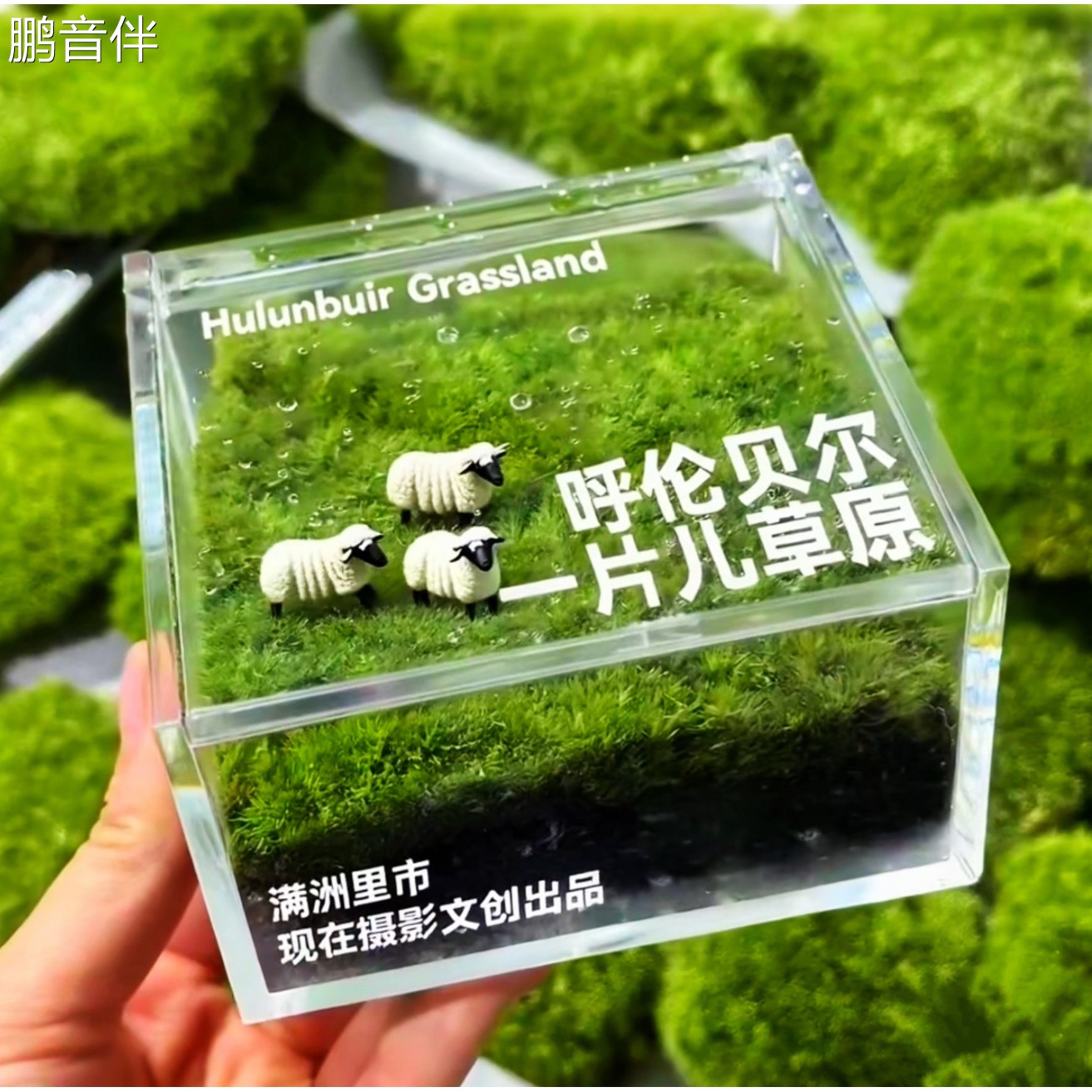 鹏音伴满洲里冰箱贴 呼伦贝尔一片草原冰箱贴 国门套娃广场 内蒙古文创摆件饰品