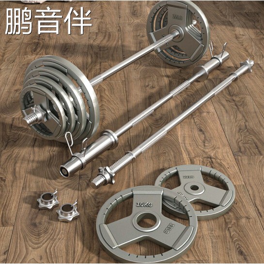 鹏音伴杠铃套装大孔米奥烤漆杠铃片家用健身深蹲举重器材 20公斤100KG摆件饰品