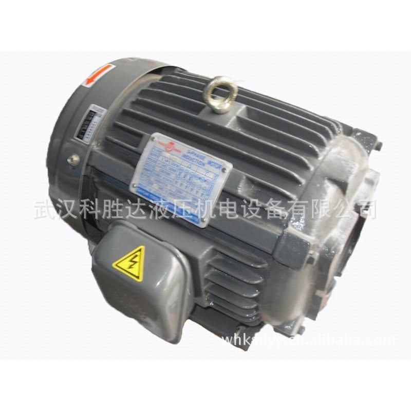 SY群策群力电机chyun tseh内轴直插C02-43BO 2HP-4P卧式 立式电机