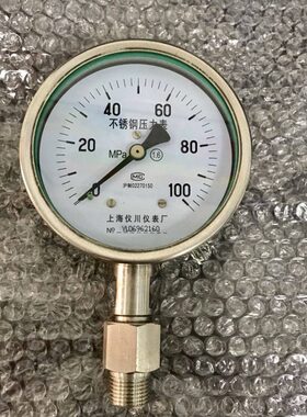 不锈钢压力表 直径100mm 压力0-100mpa 加接头G1/2 径向 Y-100
