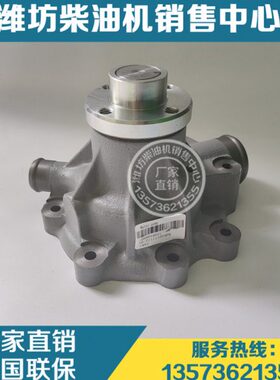 水泵1000054021 潍坊道依茨226B潍柴WP6柴油发动机30装载机收割机