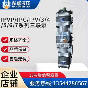 125 IPV 3.5油泵 6.3 100