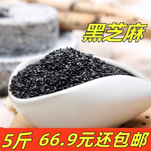 5斤 生黑芝麻 新货黑芝麻干净颗粒饱满 无沙无染色2500g包邮