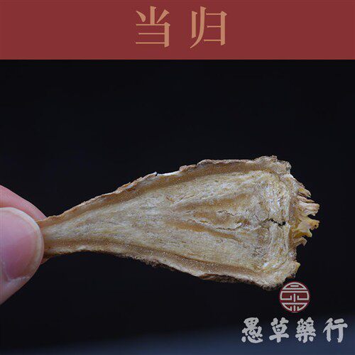 【愚草】当归岷县当归片选货大片 当归头 中药材 药食同源250g/包