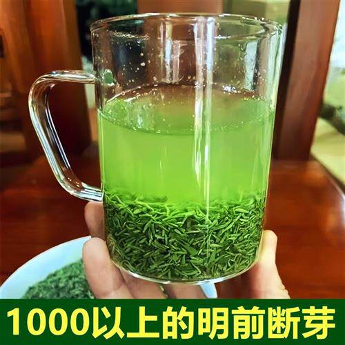 2025新茶信阳毛尖茶叶散装碎茶末明前高山嫩芽沫浓香型口粮茶500g