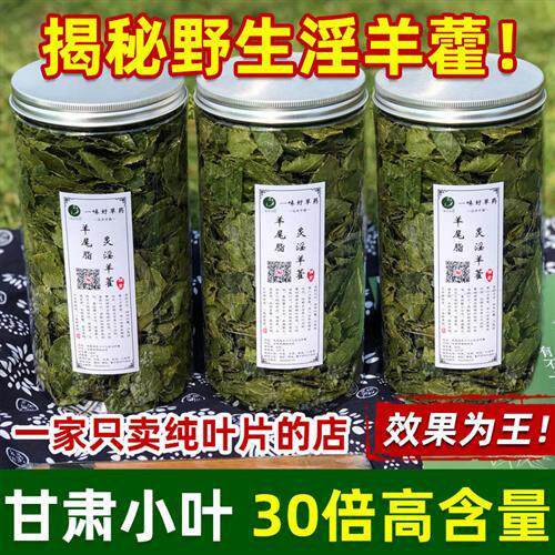 甘肃野生小叶炙淫羊藿叶片特级中药材泡茶泡水喝酒霍仙灵脾肉苁蓉