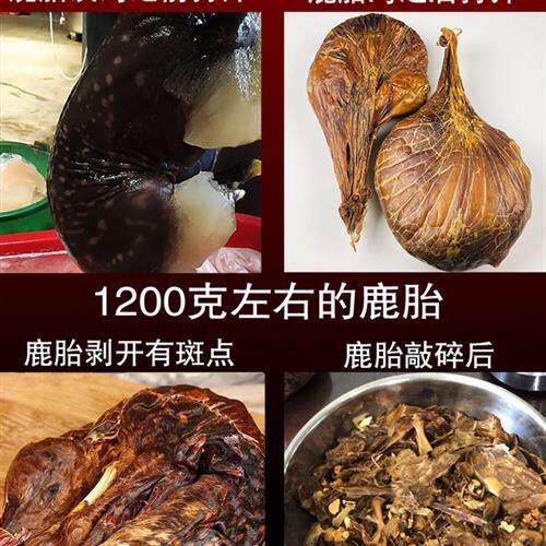 正宗吉林梅花鹿鹿胎盘整个干鹿胎粉胶囊鹿胎衣女性鹿胎鹿血胎