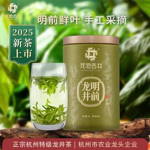 龙池古井2025新茶绿茶特级龙井茶叶杭州明前龙井43号正宗春茶罐装