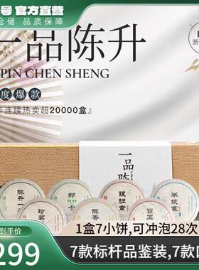 2022年陈升号一品陈升普洱茶茶叶礼盒装普洱生小茶饼云南生茶饼