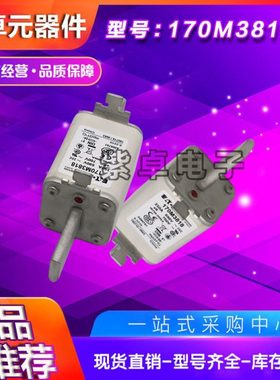 伊顿巴斯曼熔断器170M系列170M3688 170M3738保险丝现货供应