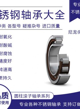 不锈钢圆柱滚子轴承SNJ2205 NJ2206 NJ2207 NJ2208 NJ2209M