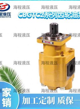 CBGTC2系列齿轮油泵联泵C齿轮泵