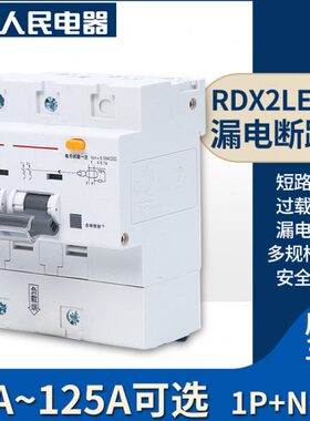 人民电器RDX2LE-125型1P2P3P+N4P80A100A125A 漏电断路器漏保空开