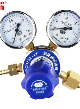 一氧化碳减压器 CO钢瓶减压阀 一氧化碳减压阀 YCO12X-1T CO阀门