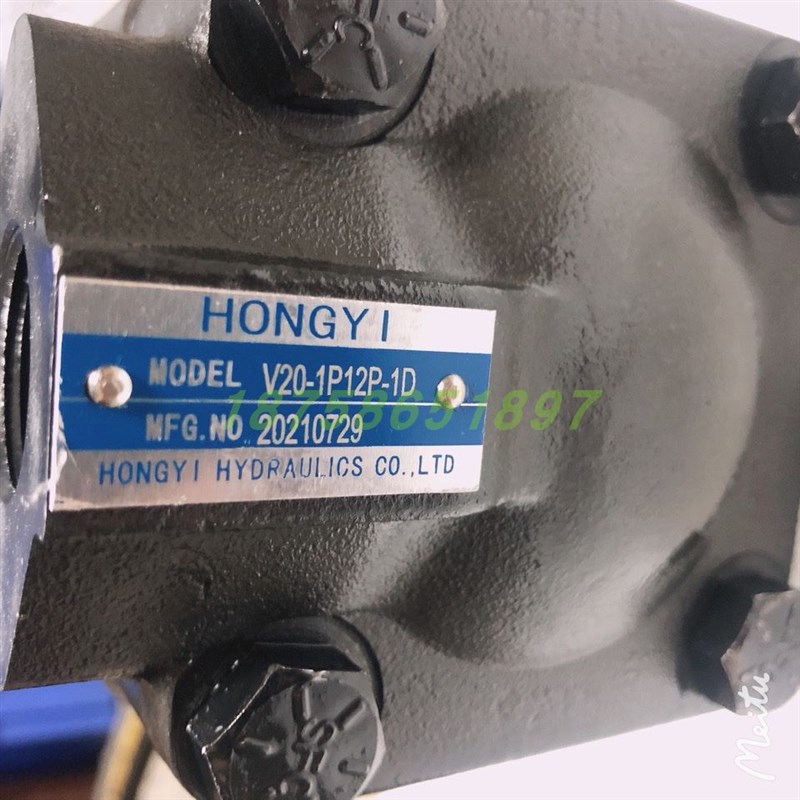 V20-1P11P/1P12P/1P13P-1A/1BD/1C/1D-11x/20 叶片泵HONGYI