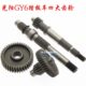 GY6 125公主豪迈光阳助力金浪节油滑行皮带轮轴传动尾牙后轴齿轮