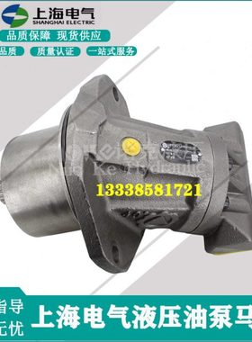 上海电气马达A2FE56/63/80/90/107/125W6.1VZL10PT2017斜轴柱塞泵