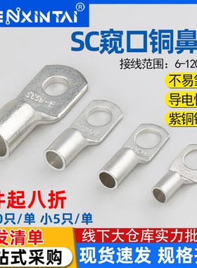 SC窥口接线冷压端子紫铜鼻子线耳国际电线压接接头6/10/12/25/35