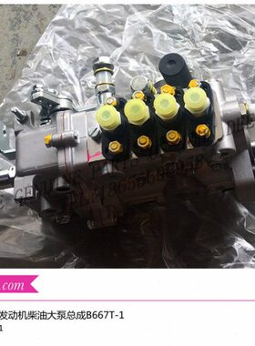 约翰迪尔5B704拖拉机柴油机配件新柴发动机柴油泵B668T-1 B667T-1