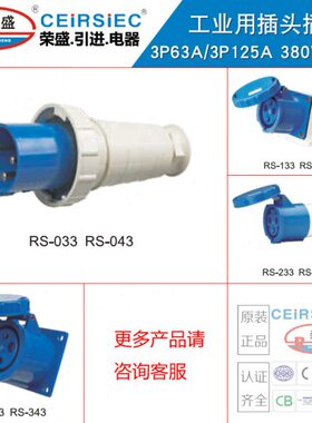 CEIRSIEC荣盛3芯63A/125A工业防水插头插座 RS033RS233RS043RS143