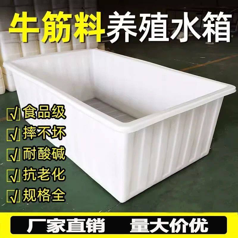 加厚牛筋水箱塑料周转箱储水桶浅盆卖鱼养鱼养龟水产养殖方桶水箱