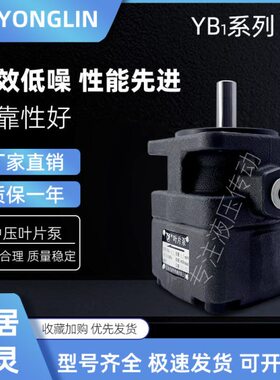 YLC永灵叶片泵YB1-2.5/4/6.3/10/12.5/16/20/25/40/63/80/100/125