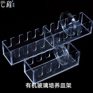 有机玻璃培养皿架 塑料培养皿5孔//10孔 亚克力透明架 竖放 90/10