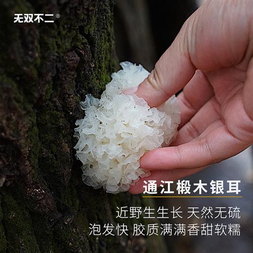 无双不二通江椴木银耳断木天然新鲜雪耳白木耳孕妇无硫干货莲子羹