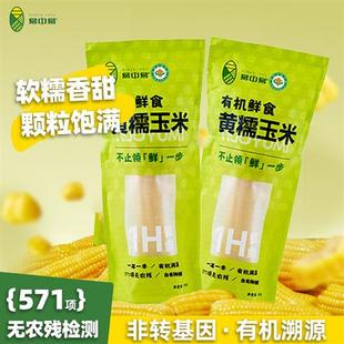 易中易内蒙有机黄糯玉米低脂粗粮代餐真空包装非东北糯玉米