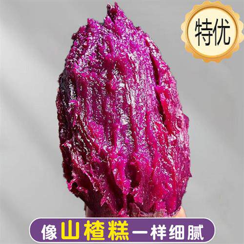 孕妇婴儿】东北紫薯新鲜红薯软糯小超甜儿童辅食谱沙地农家旗舰店