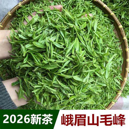 2026新茶毛峰绿茶茶叶四川峨眉山高山茶 明前特级春茶250g散装